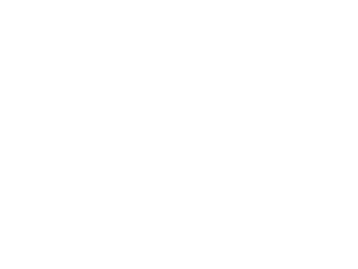 ACTUAL TAX Business Advisors